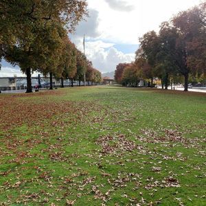 Meet your Posher, Edgar